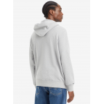 Levi's standard graphic hoodie